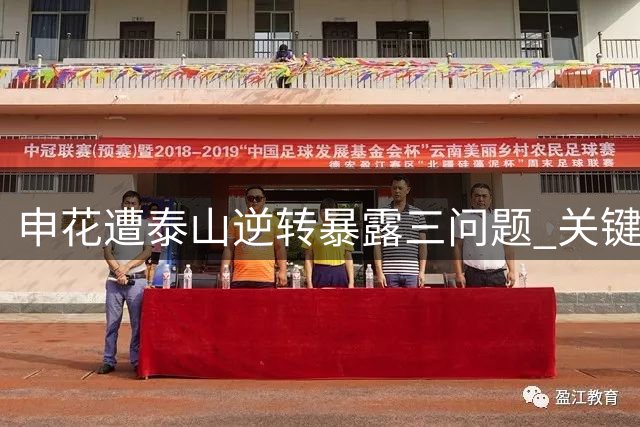 申花遭泰山逆转暴露三问题 关键球员表现引热议